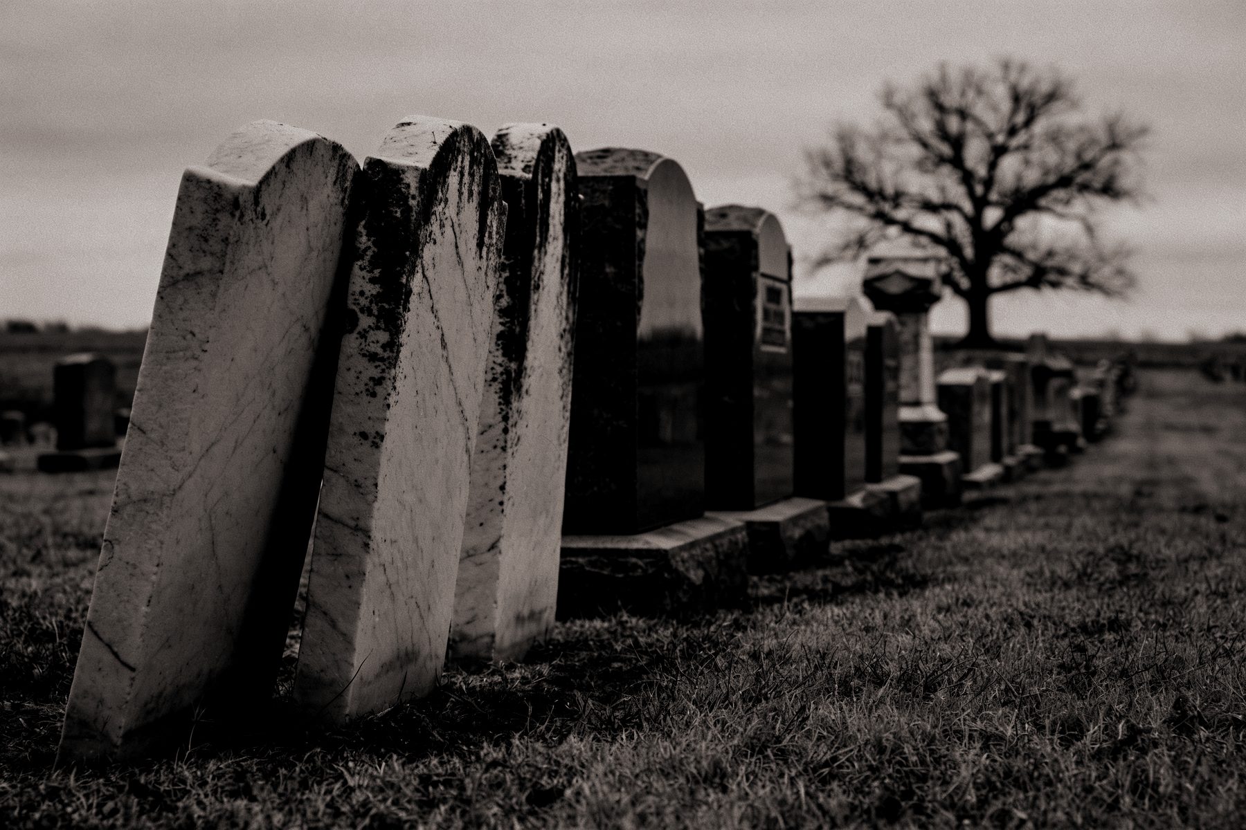 A long receding row of monuments in an old prairie cemetery, leaning weathered marble slabs at the near end and darker polished granite further along, bare oak and flat farmland behind.